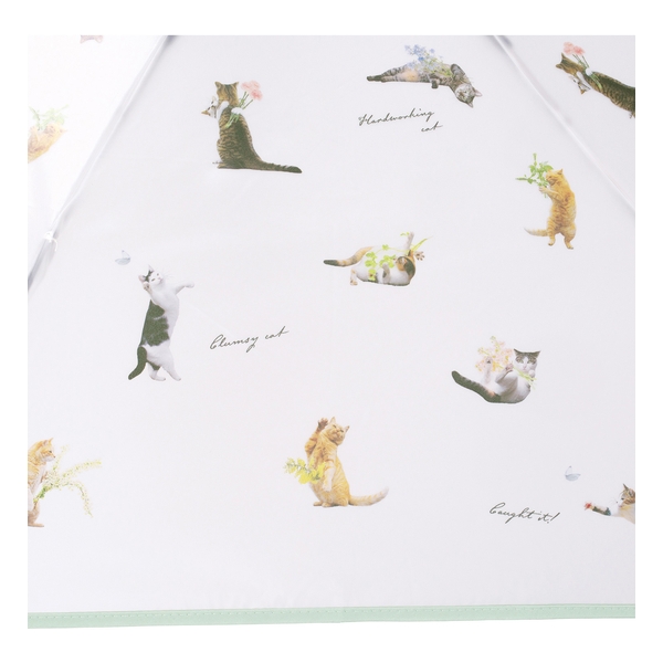 WPC MASAYUKI OKI PT-OM005-002 Size 61cm