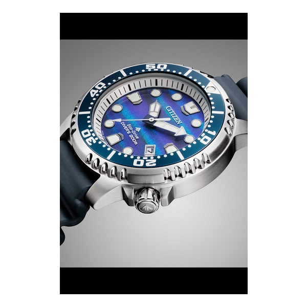 Citizen - Promaster - BN0167-09W