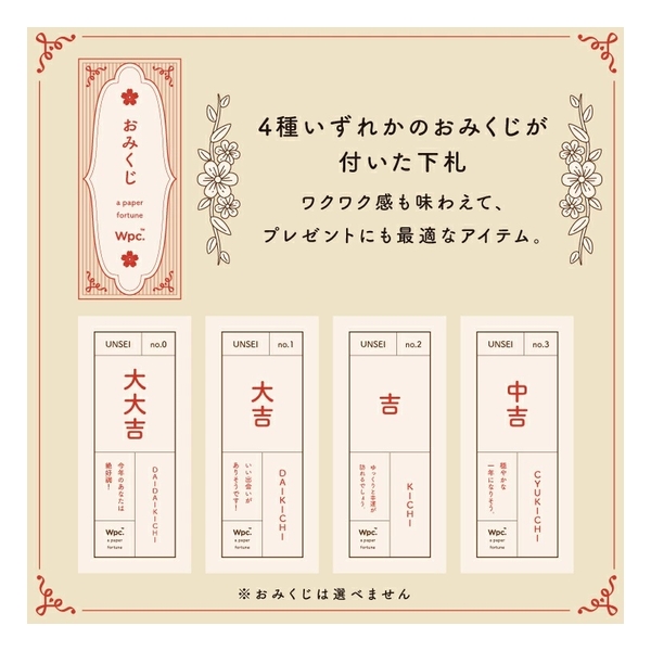 WPC mini UMBRELLA 801-19020-102 50CM