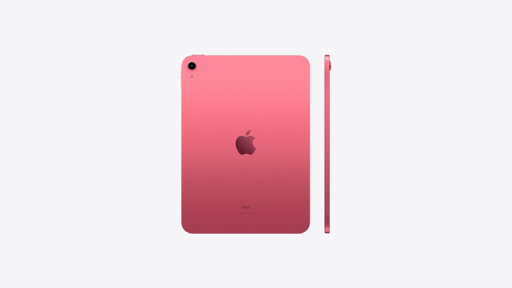 AppleiPad せつなく mini6 Wi-Fi+Cellular256GB【難あり】