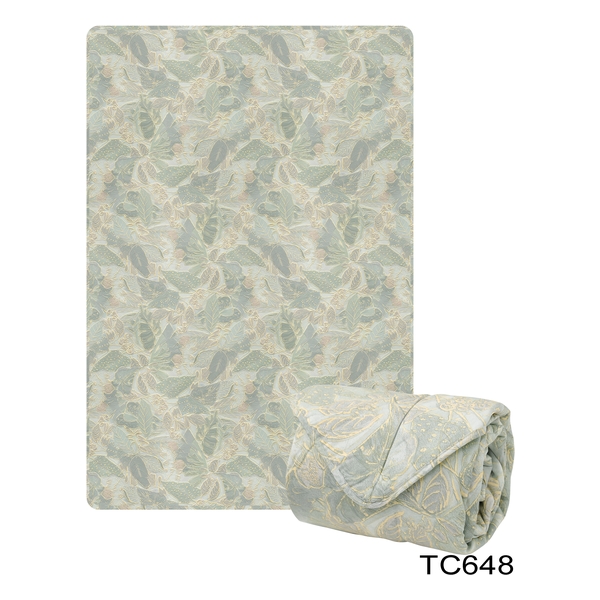 CASABLANCA Antibacterial Mint Tencel Summer Quilt - (TC648SQQ)