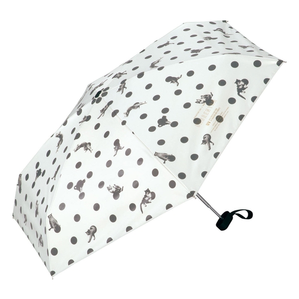 WPC MASAYUKI OKI OM011-102 UMBRELLA 47CM WPC69-OM011