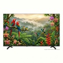 Skyworth 創維 - 55G66K 55吋 G66K 系列 4K UHD Android 14 智能電視